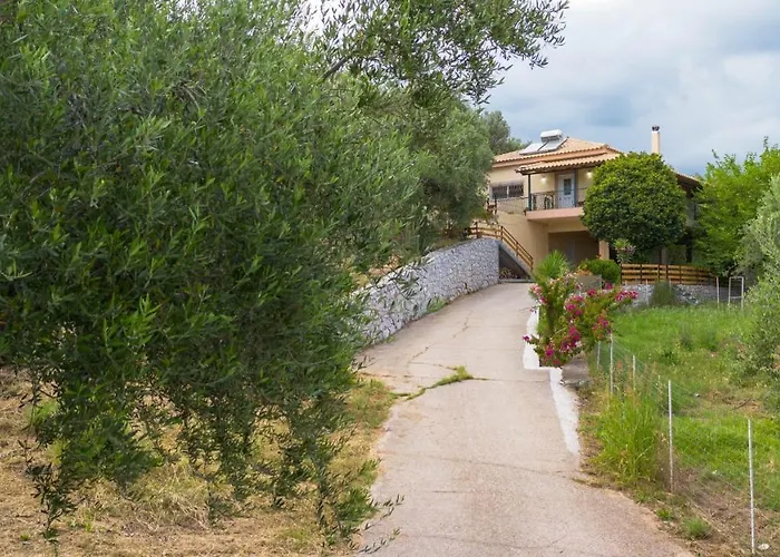 Olive Καλαμάτα