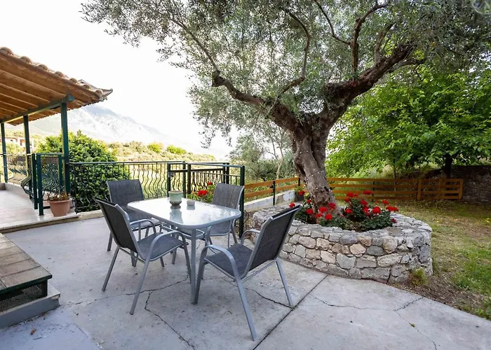 Olive Καλαμάτα