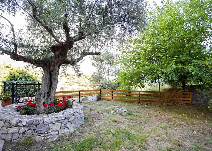 Σπίτι διακοπών Olive