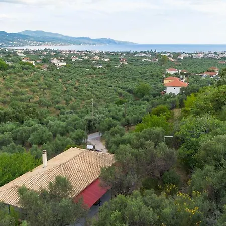 Olive Holiday home Kalamata