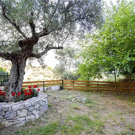 Holiday home Olive