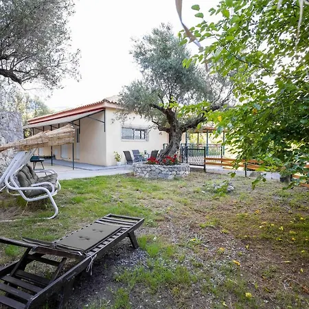 Olive Holiday home