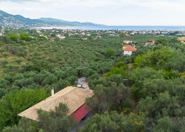 Olive Feriehus Kalamata